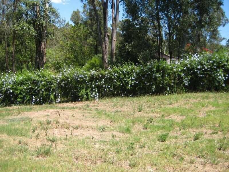 459 Greggs Road, Kurrajong - Thumbnail 3