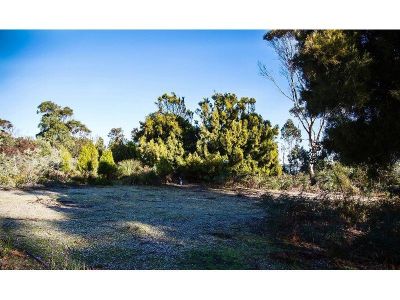 155 Marana Drive, BAKERS BEACH, Bakers Beach - Thumbnail 8