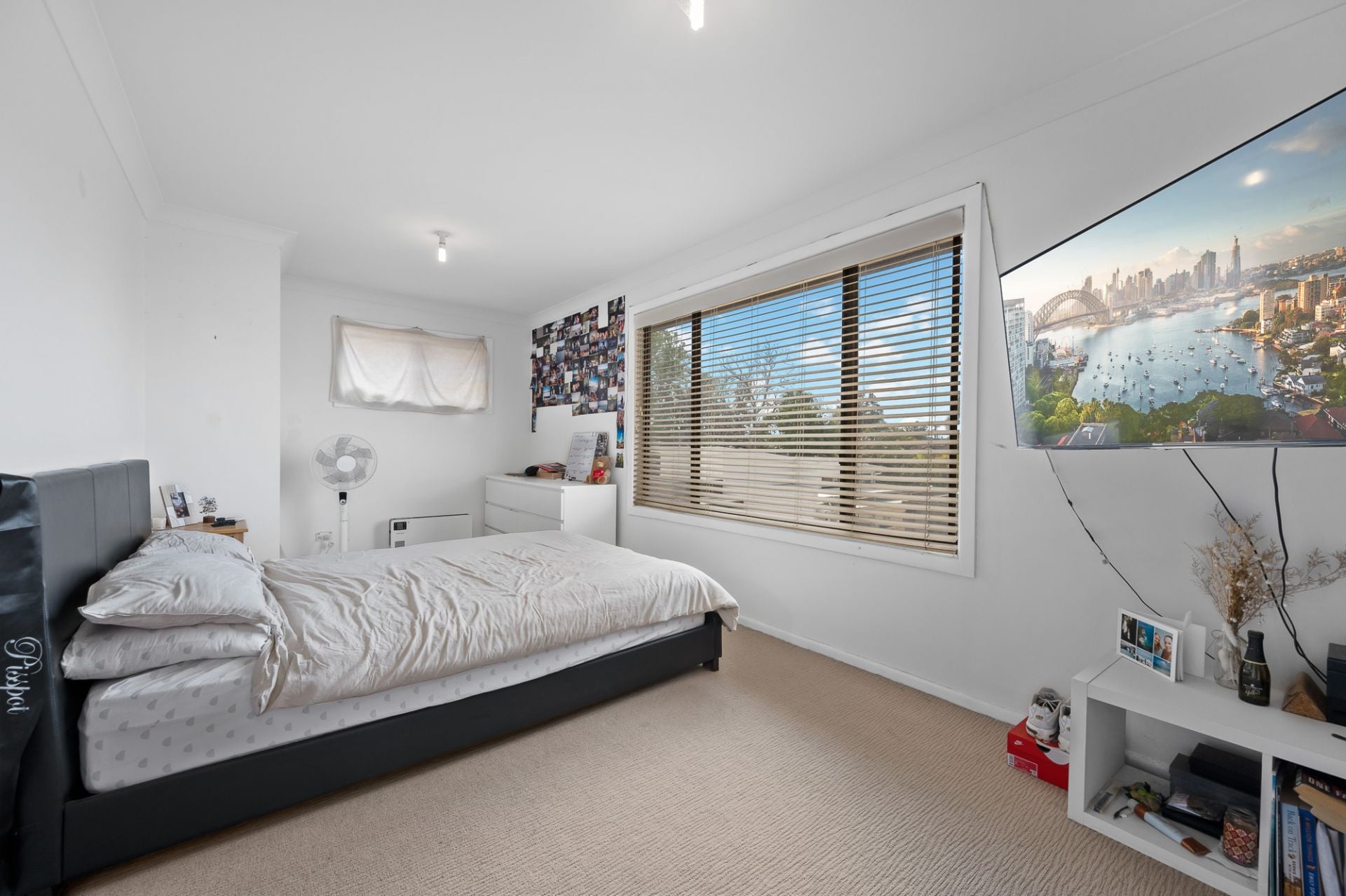 16 David Avenue Caringbah South NSW, Caringbah South - Thumbnail 6