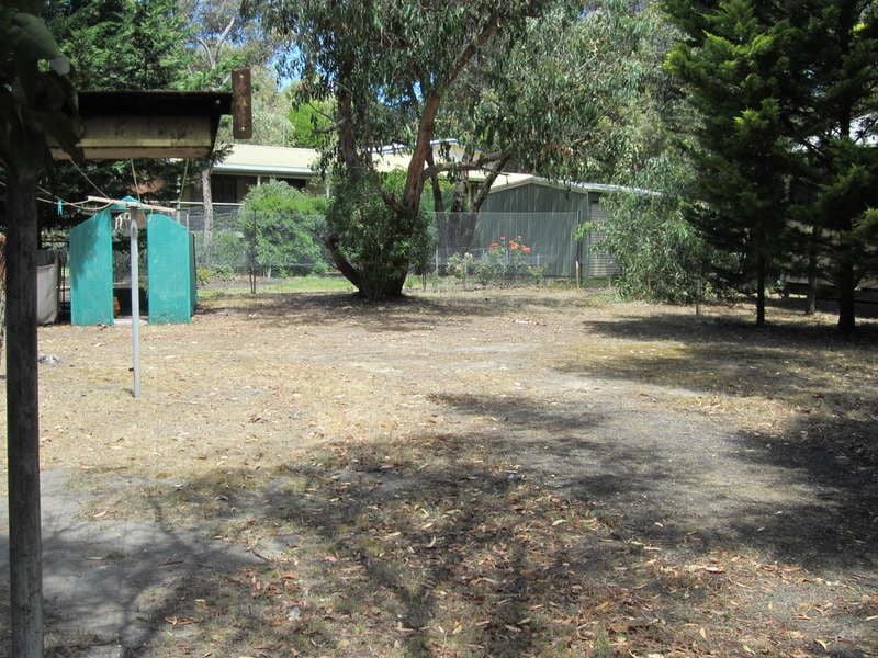 3 Niblick Street, Anglesea, VIC, Anglesea - Thumbnail 3