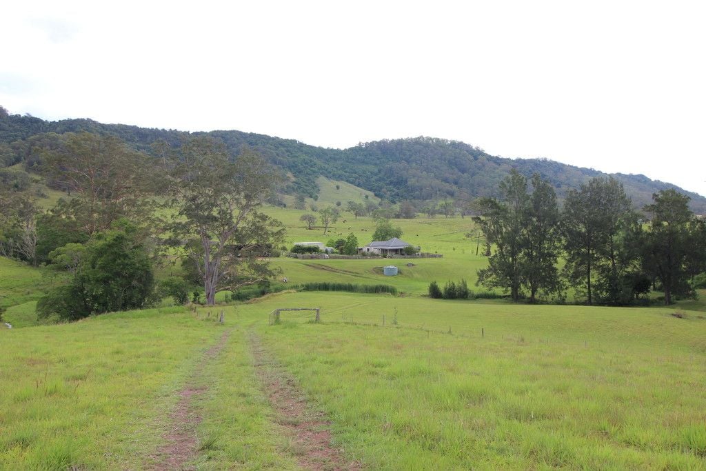 , ELLENBOROUGH NSW 2446