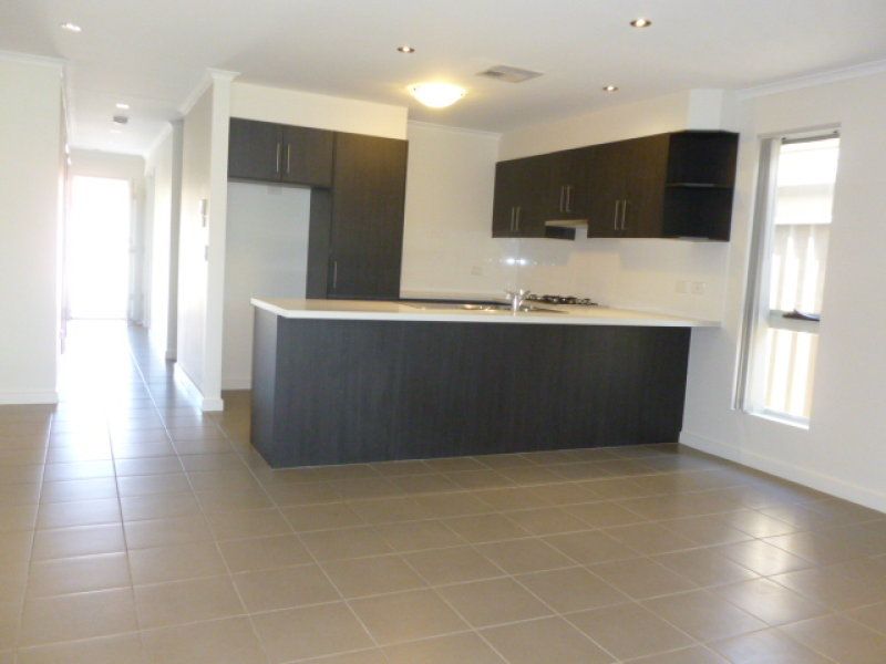 7B Bickford Street Richmond 5033