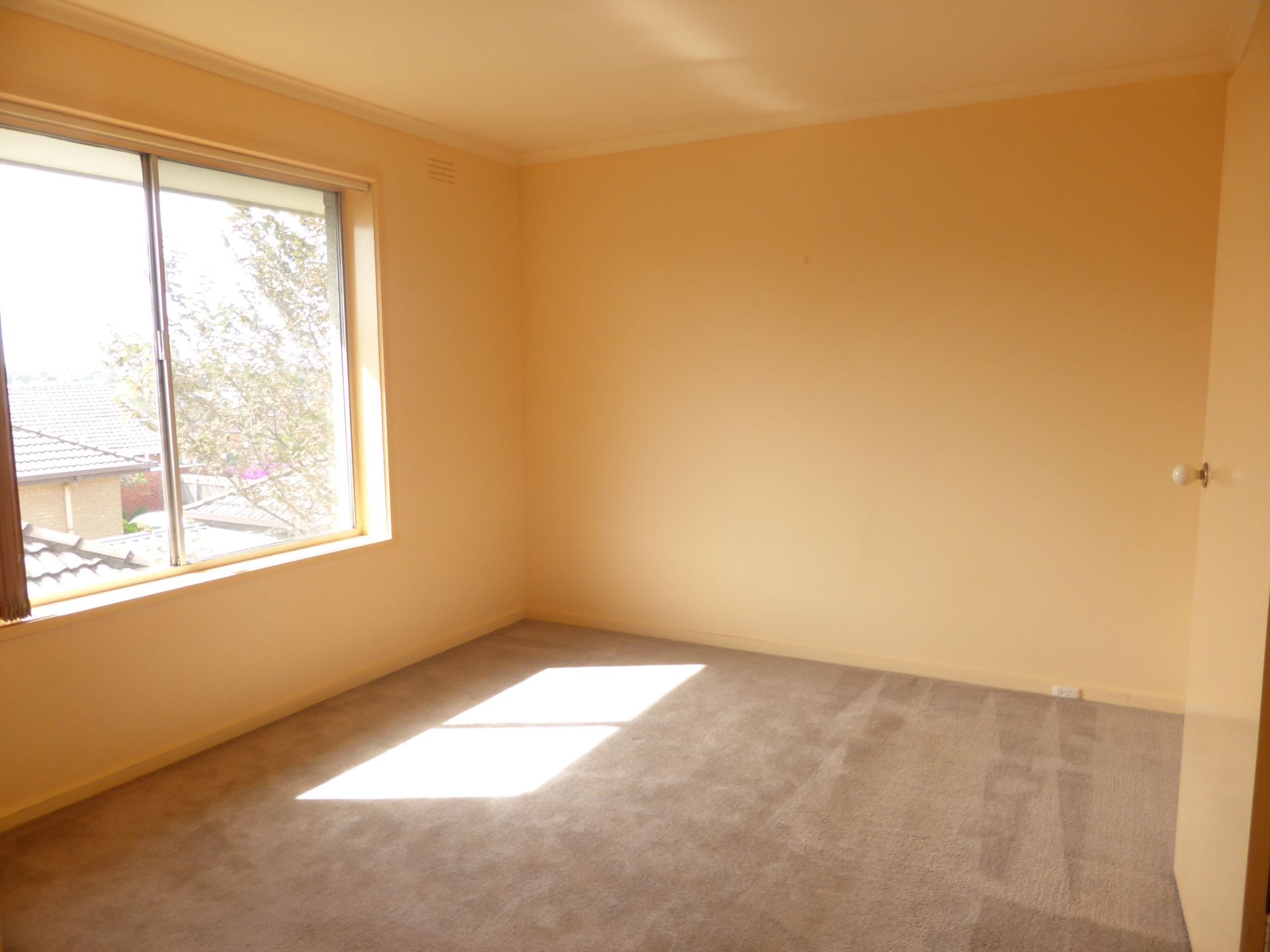 Affordable Spacious Apartment in Great Location!