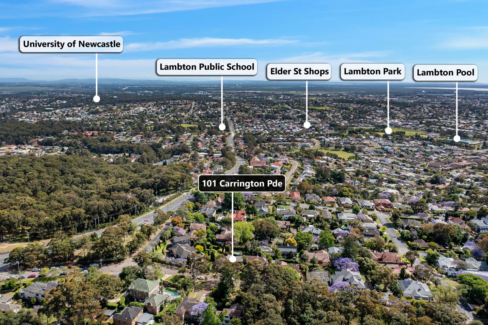 101 Carrington Parade, NEW LAMBTON HEIGHTS NSW, New Lambton Heights - Image 1