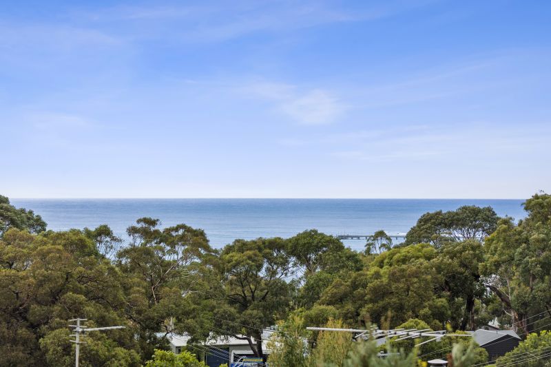 55 Polwarth Road, Lorne, VIC, Lorne - Thumbnail 6