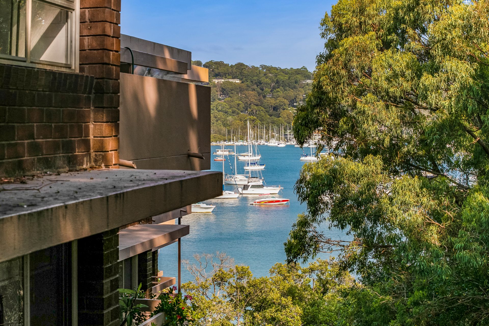 Real Estate For Lease 3/10 Kalinya Street Newport , NSW