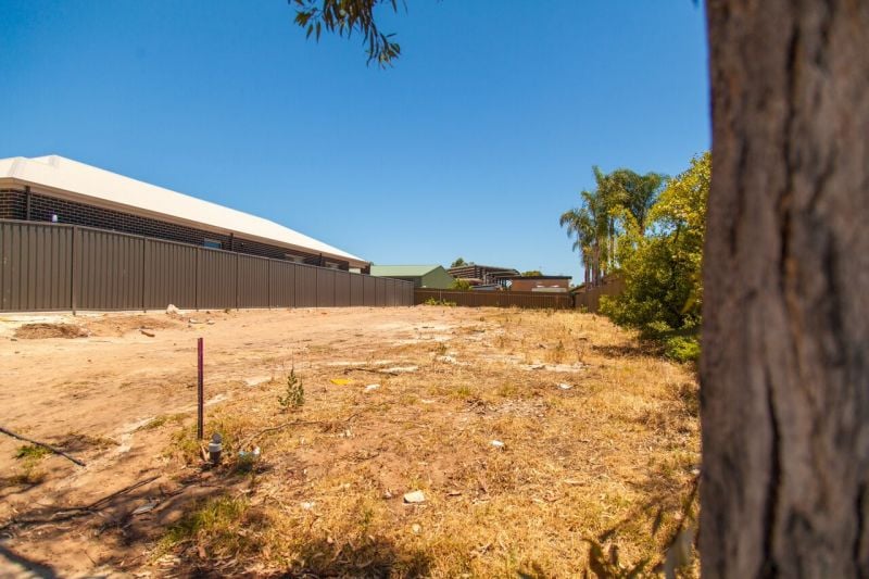 13A Kenton Street, Lockleys - Thumbnail 2