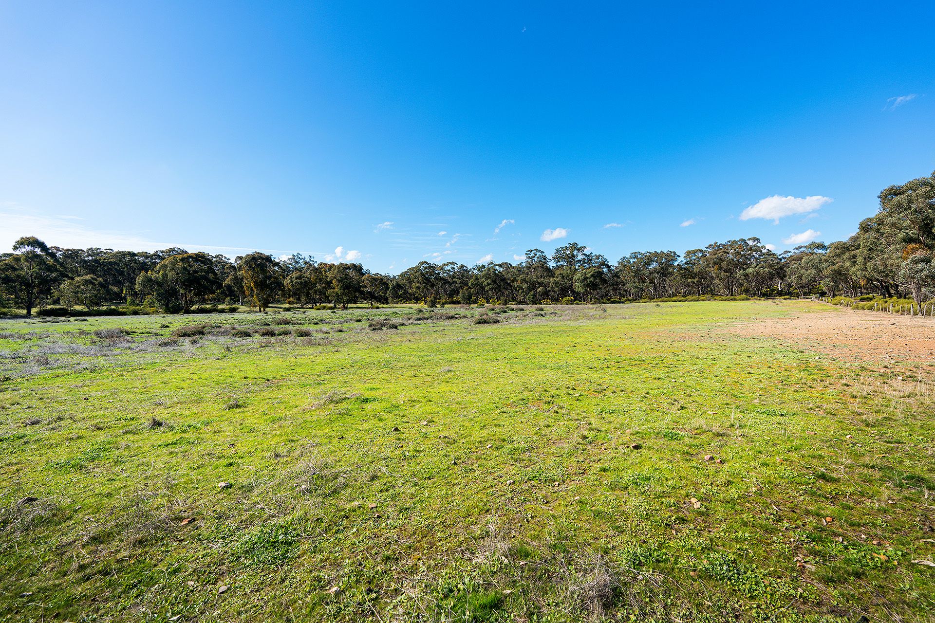 Lot 5, 58 Main Street Eldorado, Harcourt - Thumbnail 5