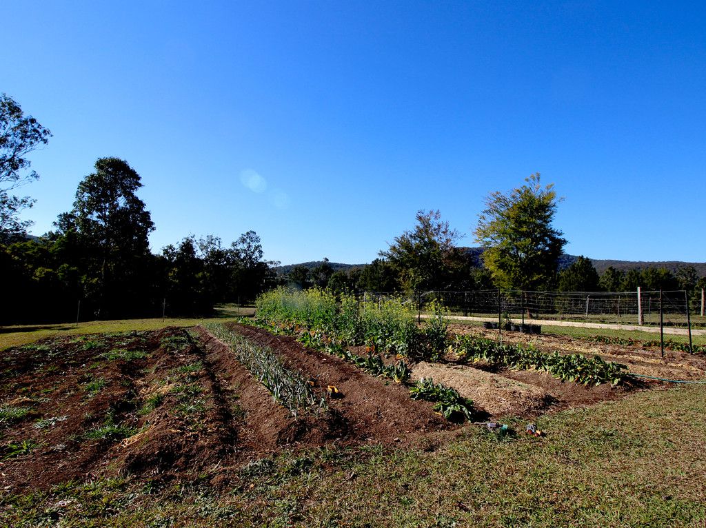 438 Upper Rollands Plains Rd, ROLLANDS PLAINS NSW 2441