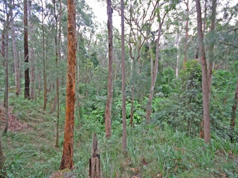 GROSE VALE, NSW, Grose Vale - Thumbnail 6