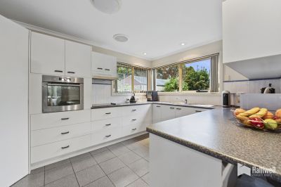 22 Tugrah Road, Stony Rise, Stony Rise - Thumbnail 7
