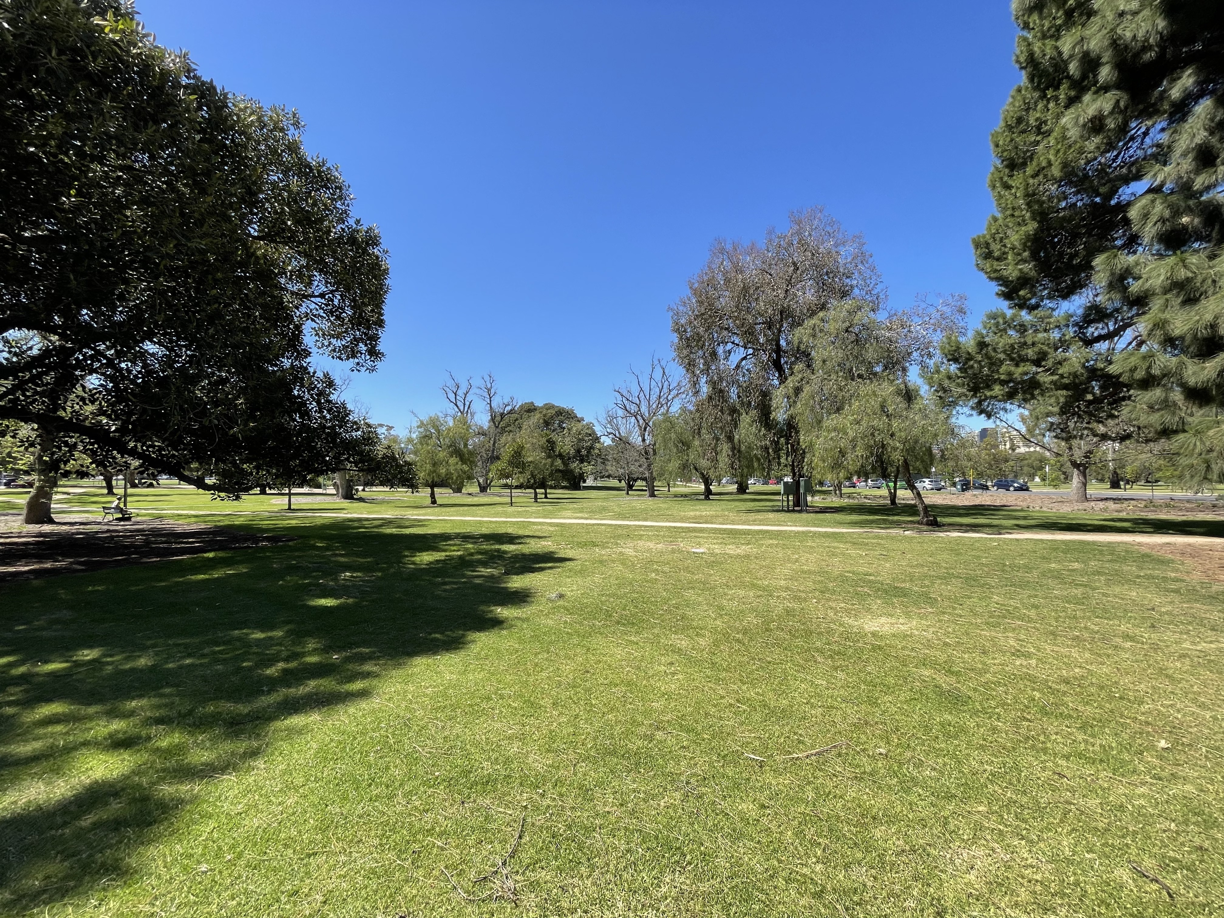 172 Mackinnon Parade North Adelaide 5006