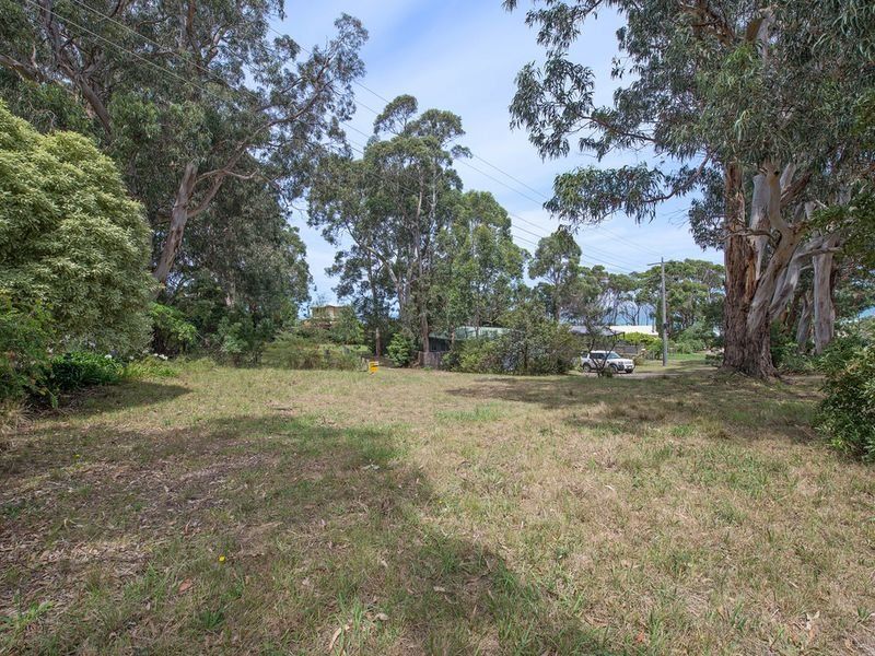 36 Old Coach Road, Skenes Creek, VIC, Skenes Creek - Thumbnail 2