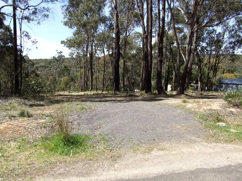 74 Acacia Avenue, Dales Creek - Thumbnail 4
