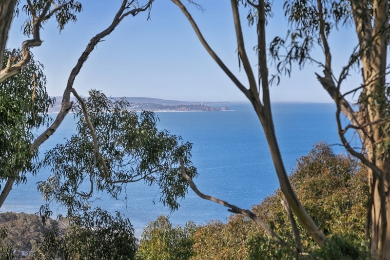 25  Toorak Terrace, Lorne, VIC, Lorne - Thumbnail 8