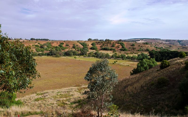89 Underbank Blvd, Bacchus Marsh - Thumbnail 3