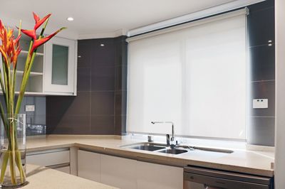 Newly Renovated Luxury Apartment with Ocean VIEWS