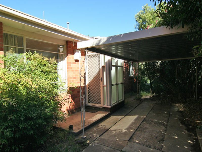 121 Scrivener Street, O'Connor - Thumbnail 3