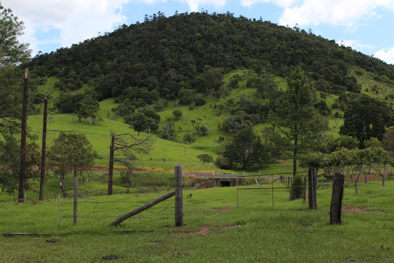 181 Willetts Road, BAUPLE, QLD, 4650 Rural buyMyplace