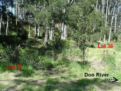 35 Penzance Place, ACACIA HILLS, Acacia Hills - Thumbnail 5
