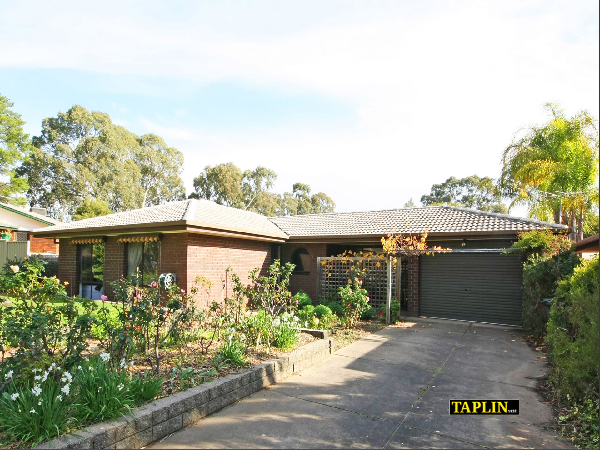 3 Brook Drive, Aberfoyle Park Taplin Real Estate