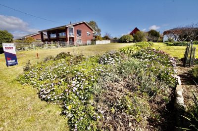 50 Shearwater Boulevard, Shearwater, Shearwater - Thumbnail 7