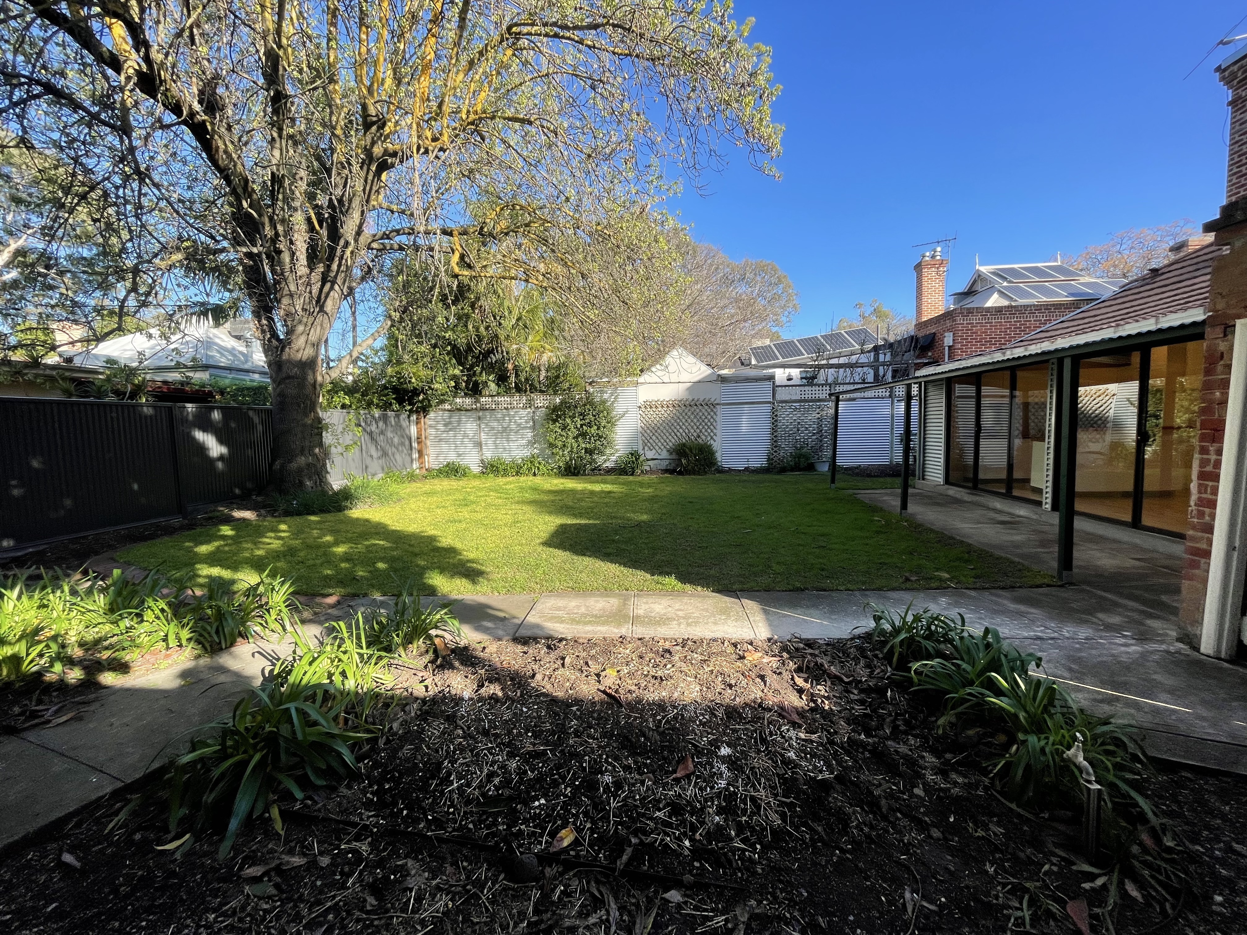 5 Percy Street Millswood 5034