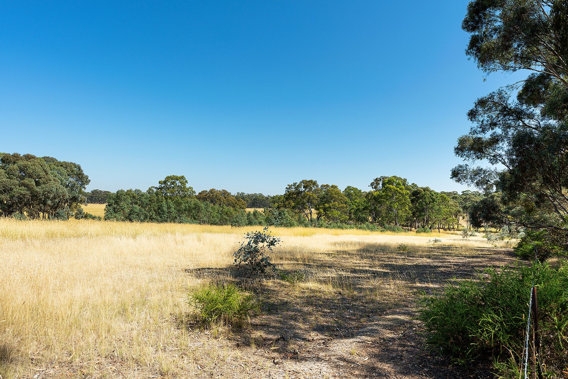 20 Ross Drive, Castlemaine - Thumbnail 3