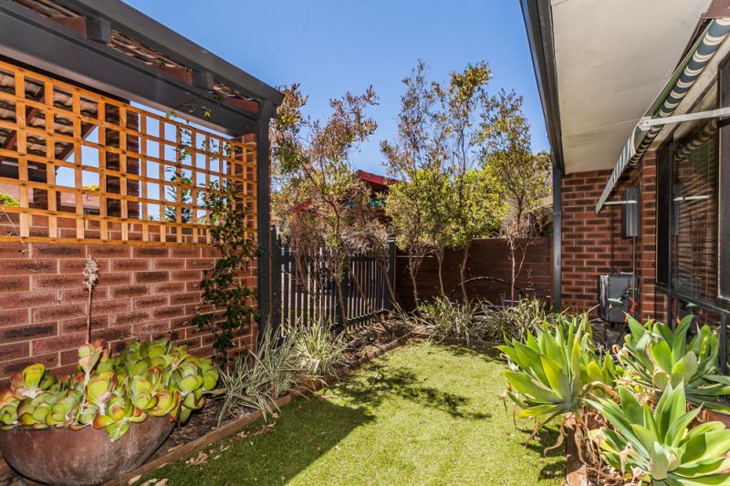 24 Windich Place Leederville WA, Leederville - Thumbnail 5