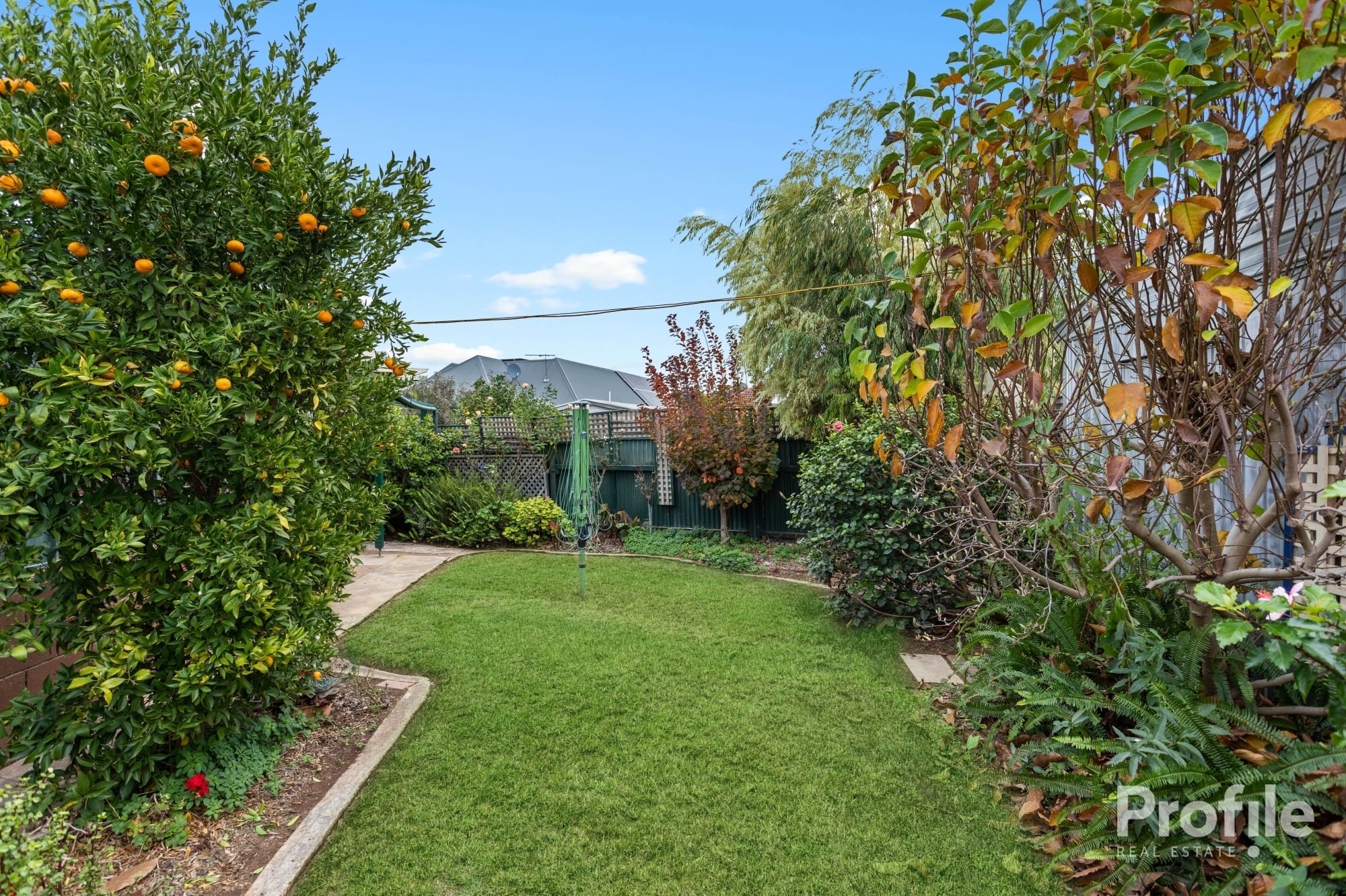 10 Coombe Road Allenby Gardens 5009