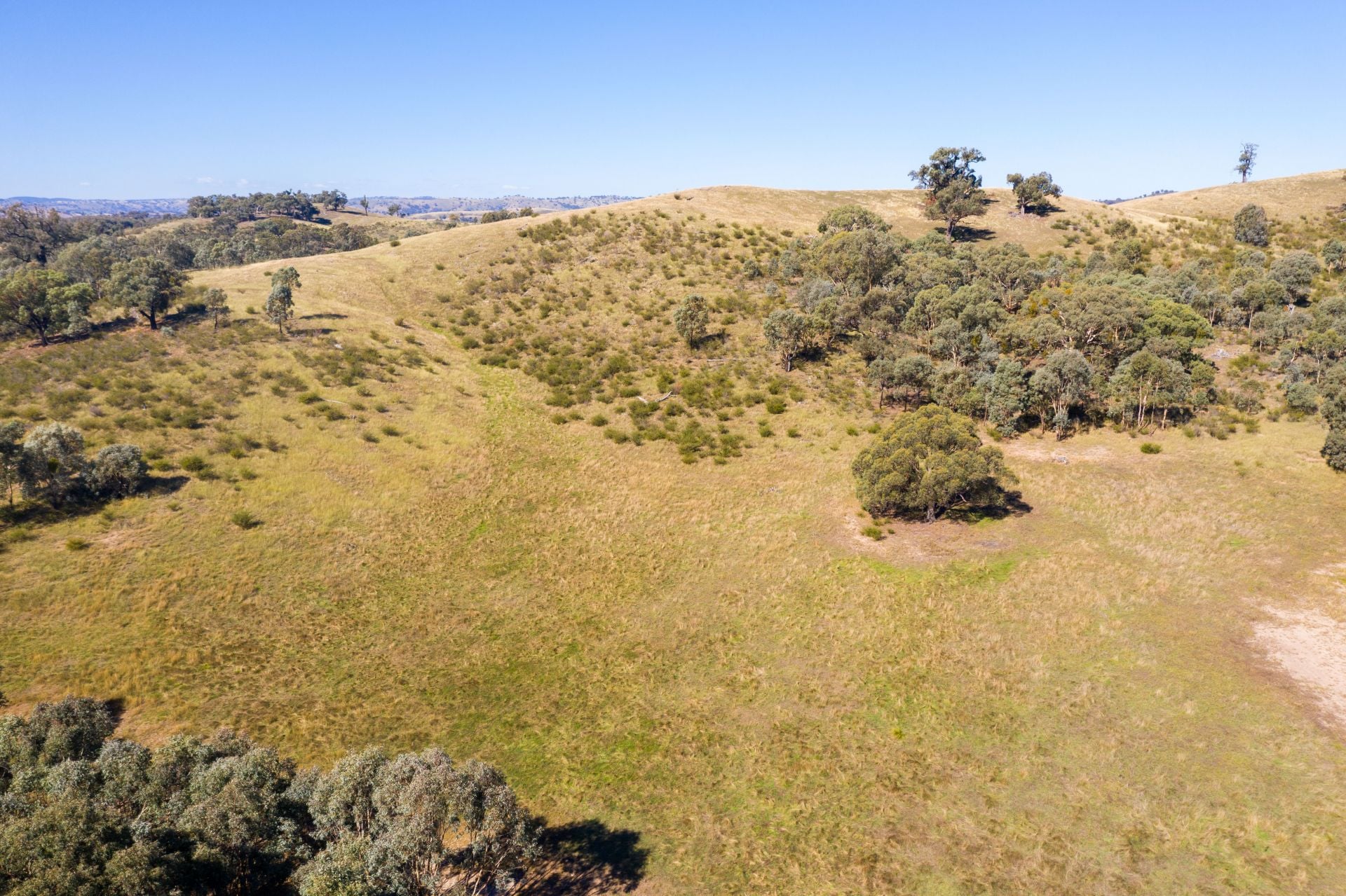 4 Old Wheeo Road, Taylors Flat NSW, Taylors Flat - Thumbnail 2