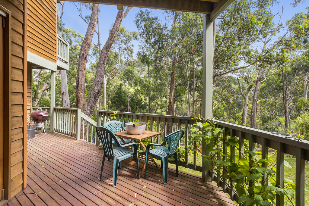 65 Old Coach Road, Skenes Creek, VIC, Skenes Creek - Thumbnail 4