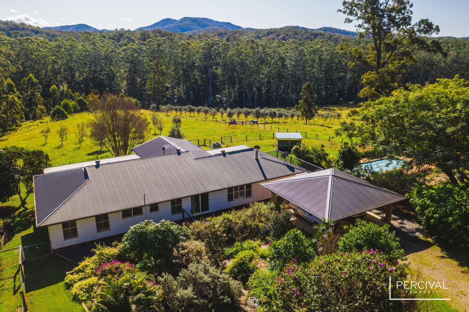 8 Orara Lane Mortons Creek NSW, Mortons Creek - Thumbnail 5