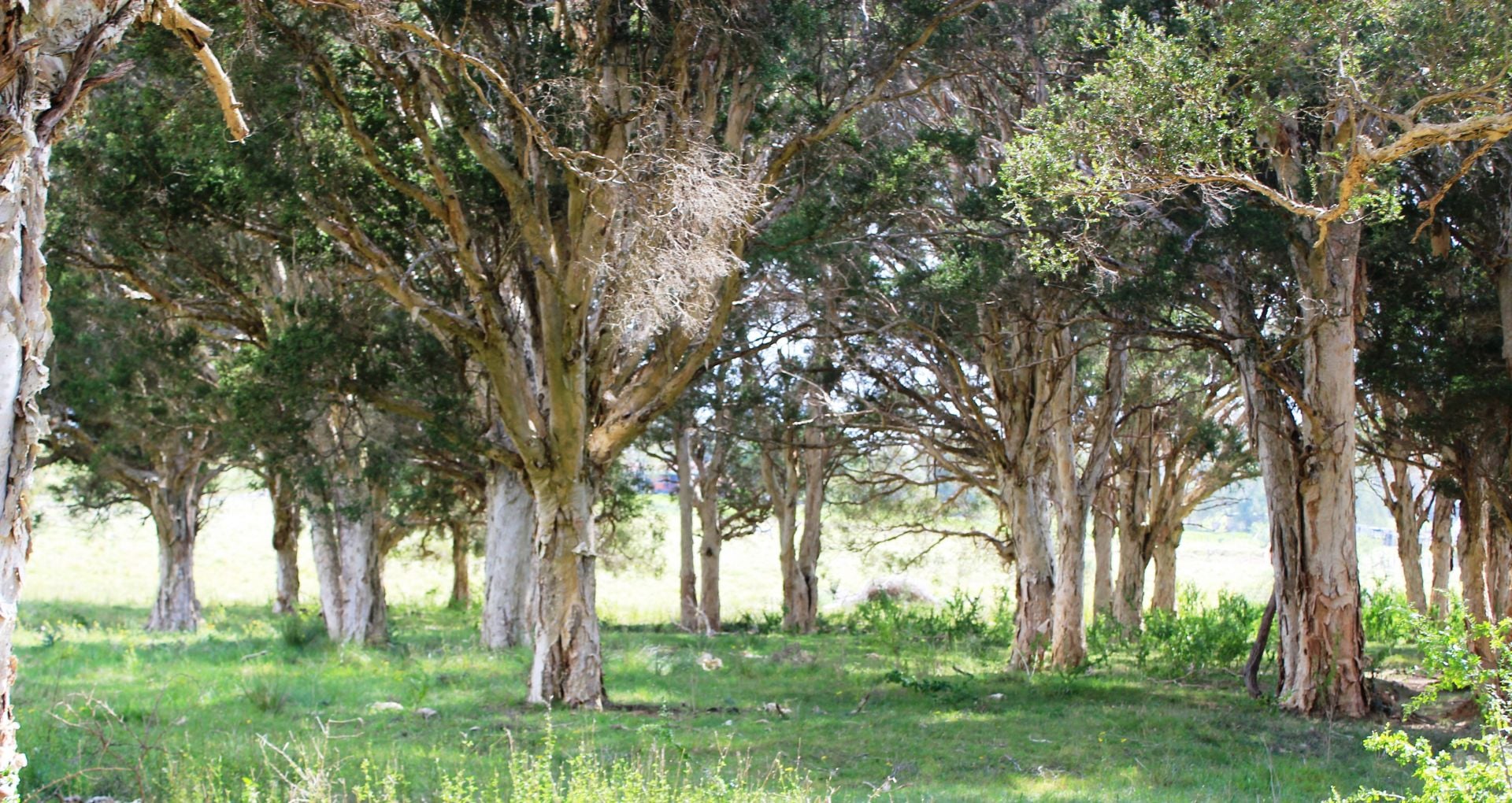 235 Finns Road, Menangle, Menangle - Thumbnail 8