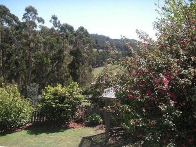 4
 
 
 
  
 
 
 2
 
 
 
  
 
 
 5
 
 
 
 
 
 
 
 211 Kelcey Tier Road, SPREYTON TAS 7310, Spreyton - Thumbnail 8