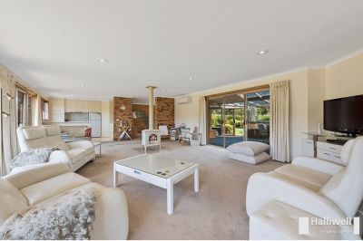 20 Lawrence Avenue, Acacia Hills, Acacia Hills - Thumbnail 7