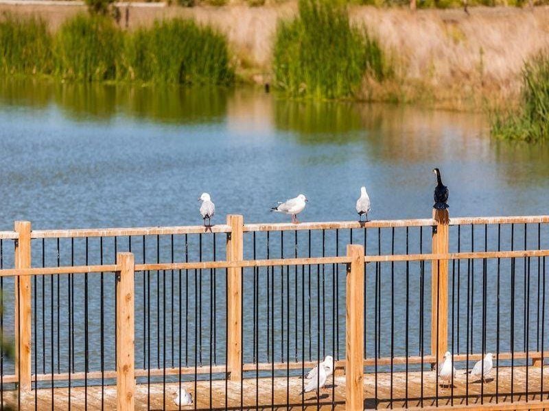 Lot 360 Lilly Pilly Mews OCEAN GROVE VIC, Ocean Grove - Thumbnail 3