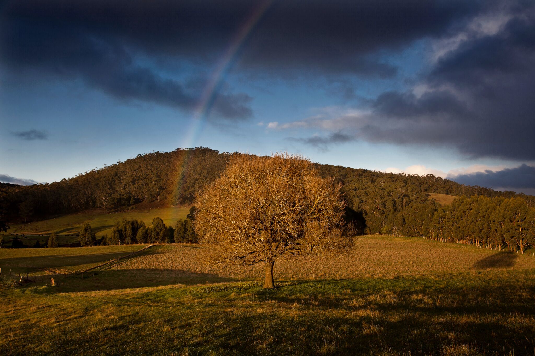 9 Smiths Lane, Gellibrand, VIC, Gellibrand - Thumbnail 2