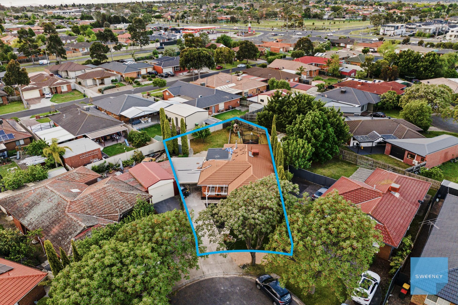 8 Carmel Court, Sydenham - Thumbnail 6