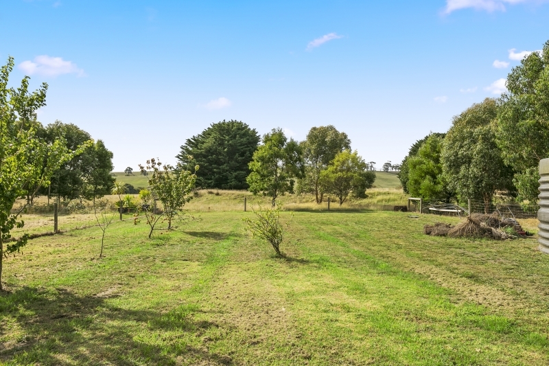 1371 Birregurra-Deans Marsh Road, Deans Marsh, VIC, Deans Marsh - Thumbnail 7