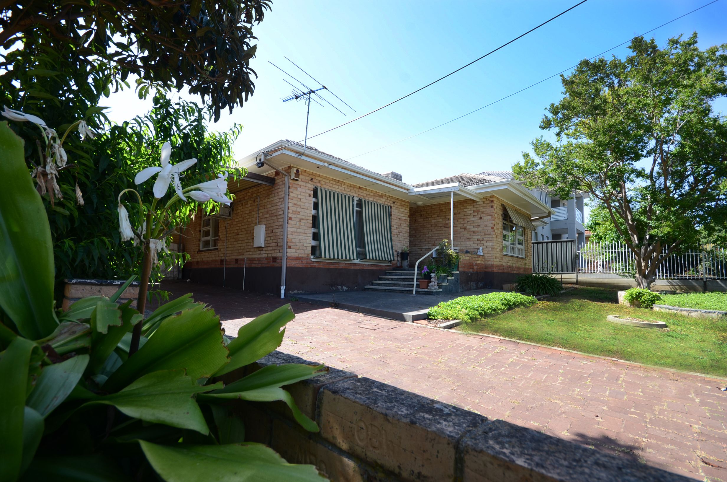 19 Ontario Ave, Panorama SA 5041