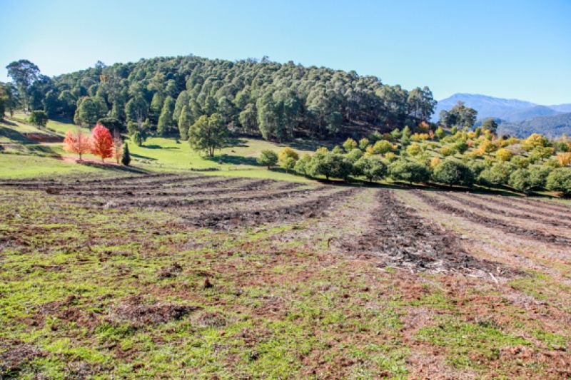 158 Lot 2, 3, 4 Simmonds Creek Road Tawonga South VIC, Tawonga South - Thumbnail 6
