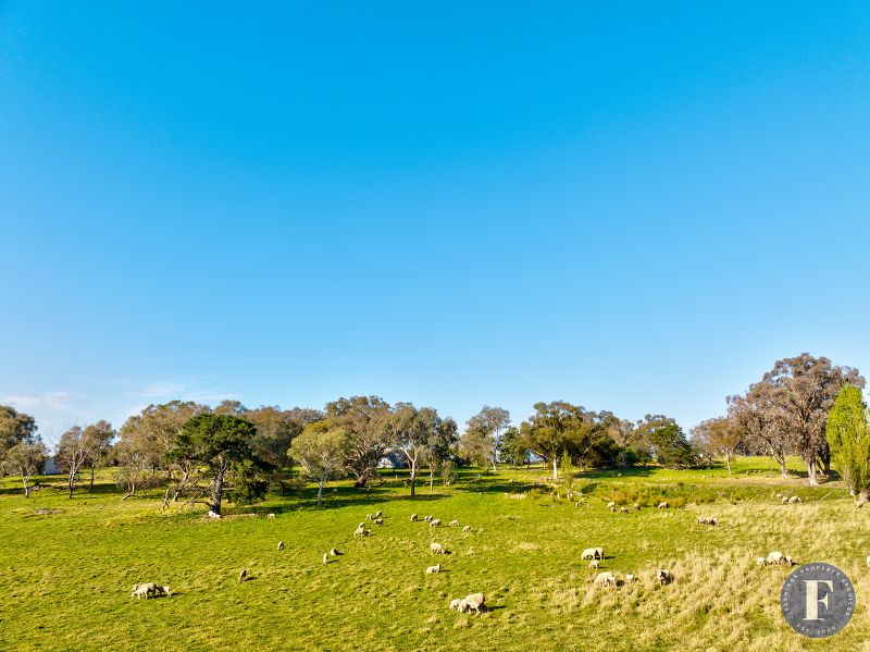 1960 Back Creek Road, Kingsvale NSW, Kingsvale - Thumbnail 4