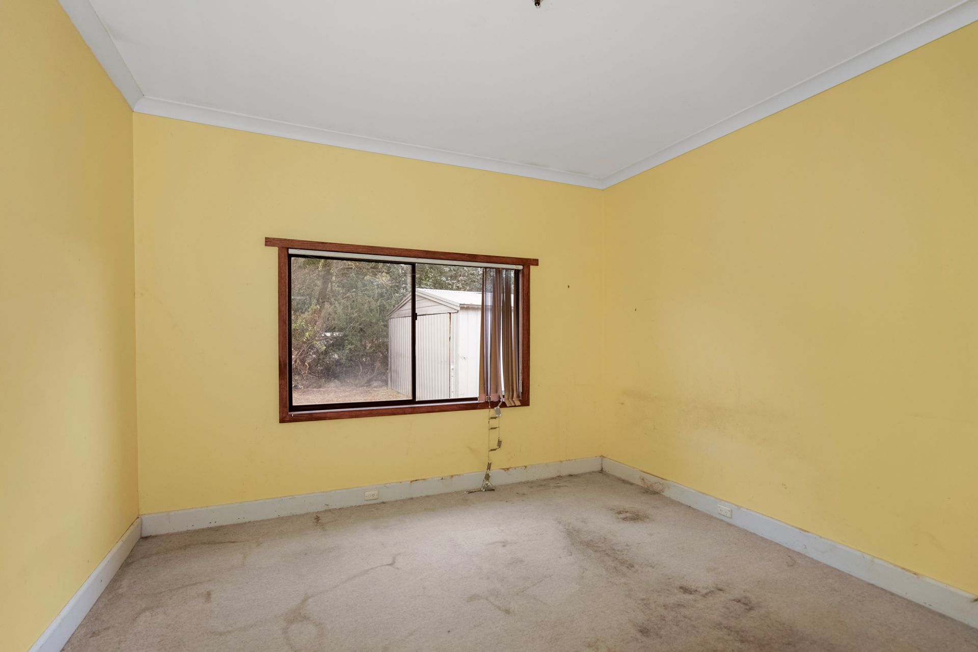 264 Wilsons  Road, Haddon, Haddon - Thumbnail 8