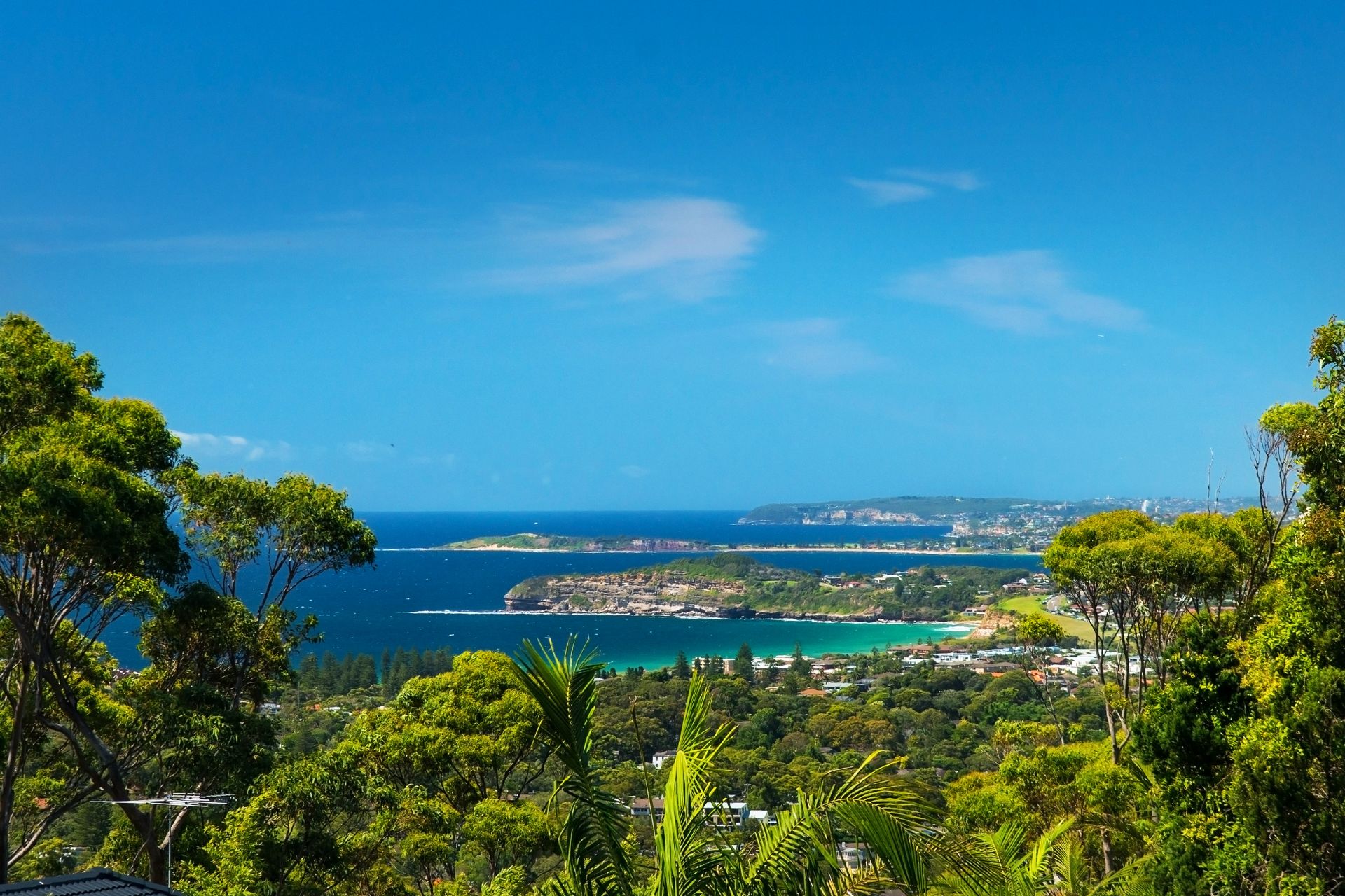 15 Raymond Road Bilgola NSW, Bilgola - Thumbnail 5