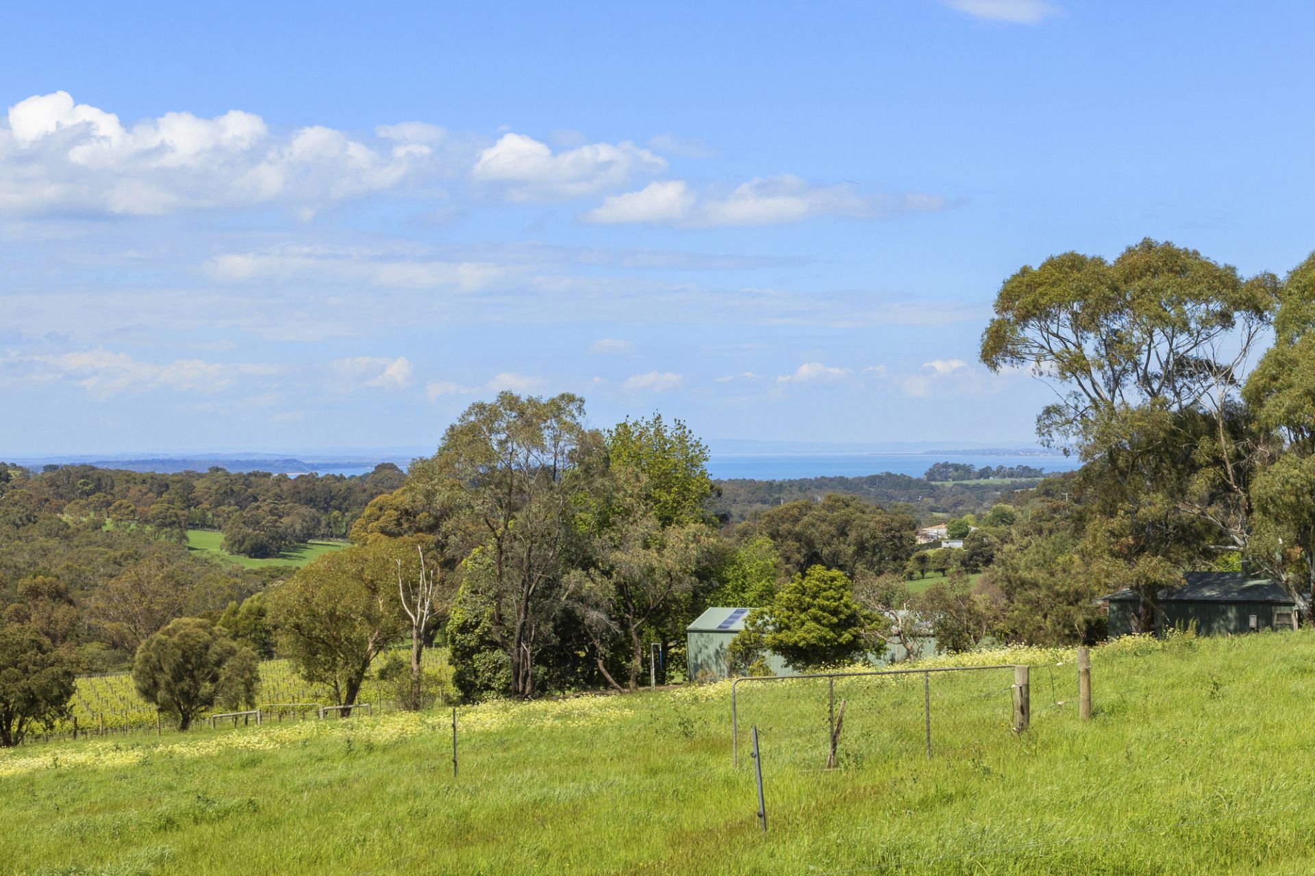 Kay & Burton 22 Paringa Road, Red Hill South
