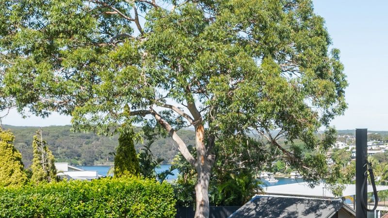 387 Willarong Road, Caringbah South NSW, Caringbah South - Thumbnail 8