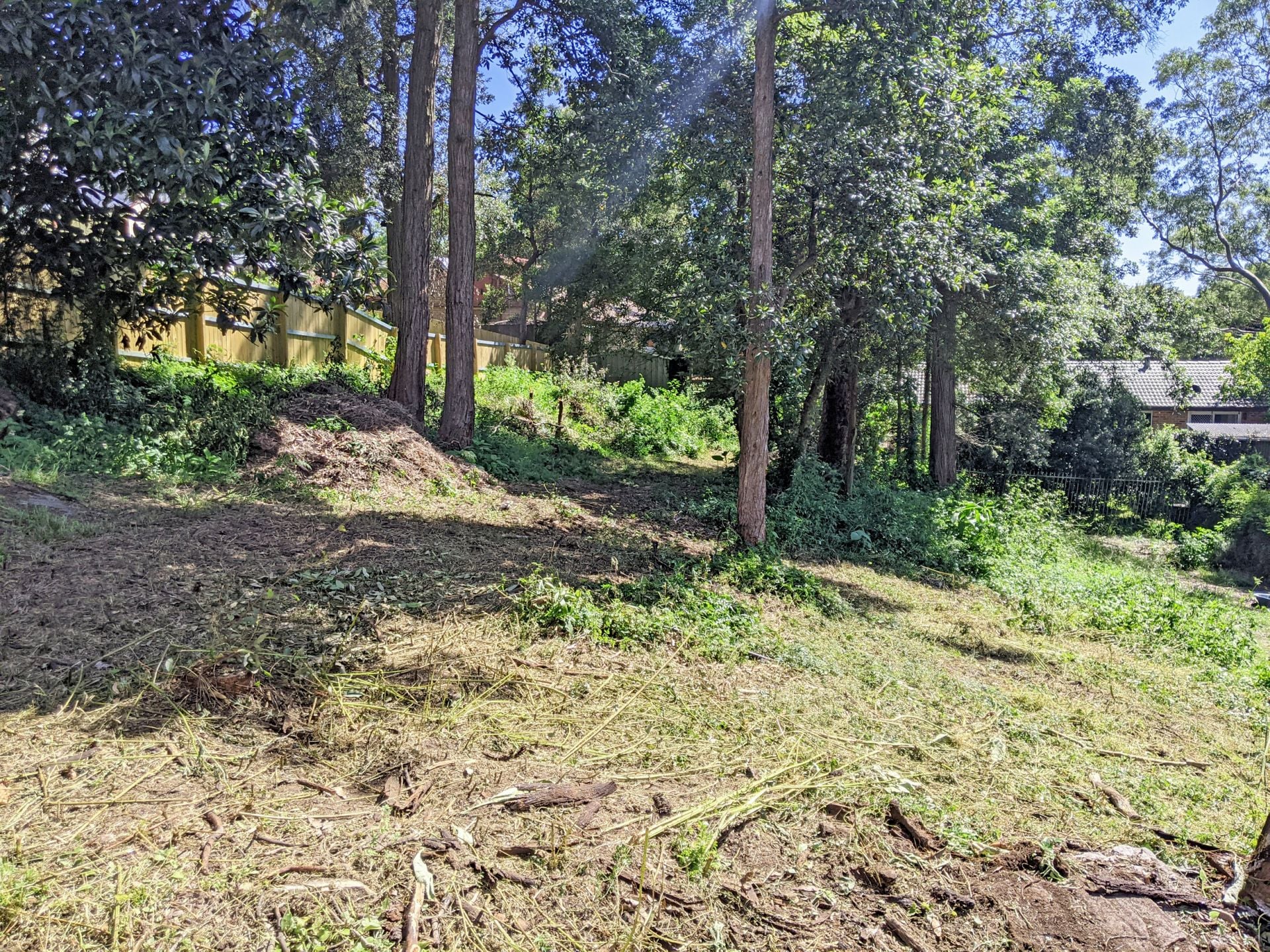 5 Waratah Street, Bowen Mountain - Thumbnail 2