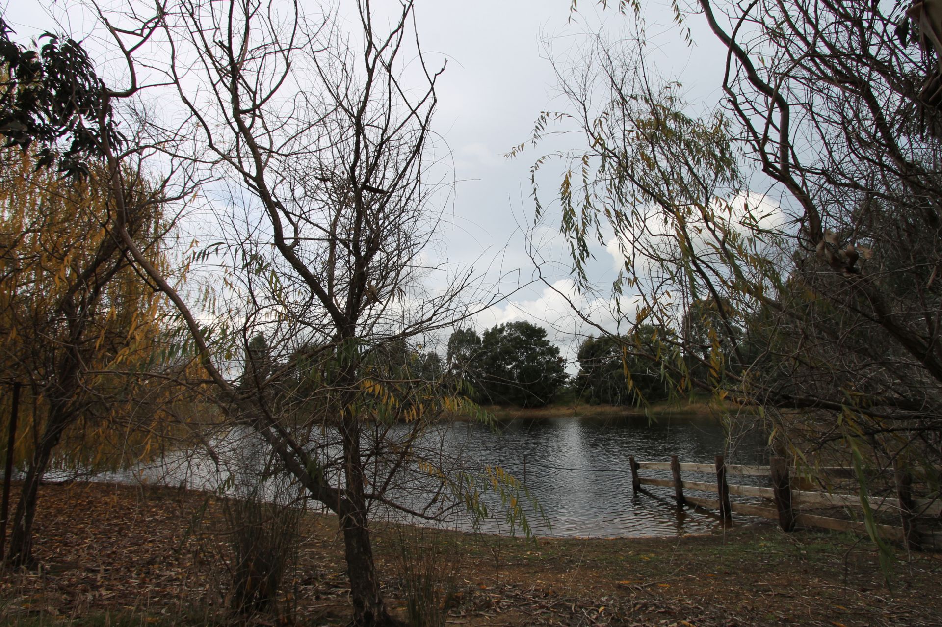 RARE LEASING OPPORTUNITY - 20 ACRES - 8.09 ha