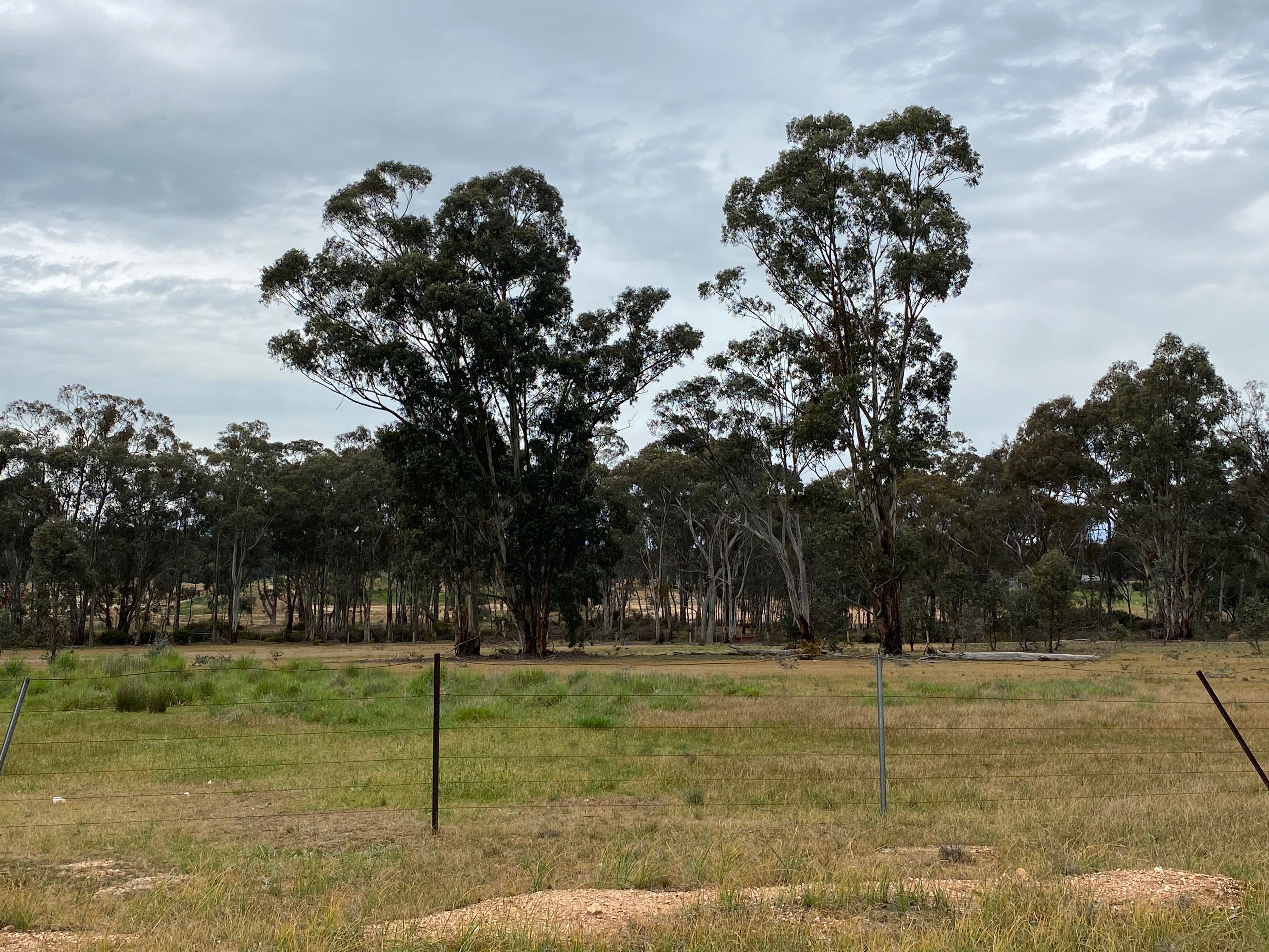 Lot 8/ Denyers Road, Bowenvale VIC 3465